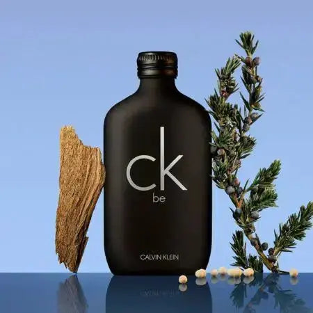 CALVIN KLEIN Ck Be EDT 100 ml Calven Klein