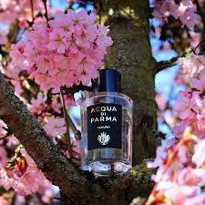 ACQUA DI PARMA Sakura U 100 EDP - Versai.bg