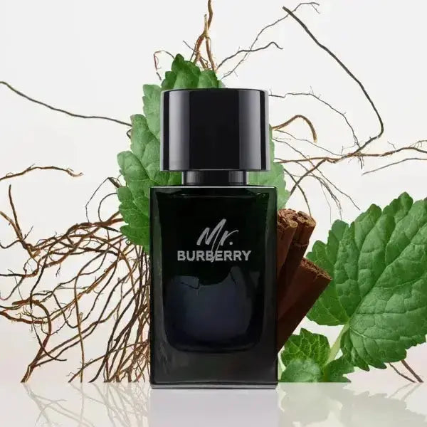 BURBERRY Mr. Burberry H EDT 100 ml Burberry