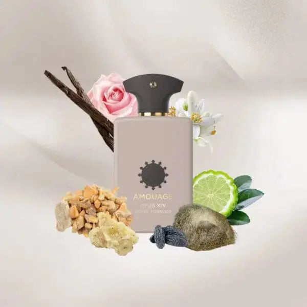 AMOUAGE Opus XIV Royal Tobacco U EDP 100 ml - Versai.bg