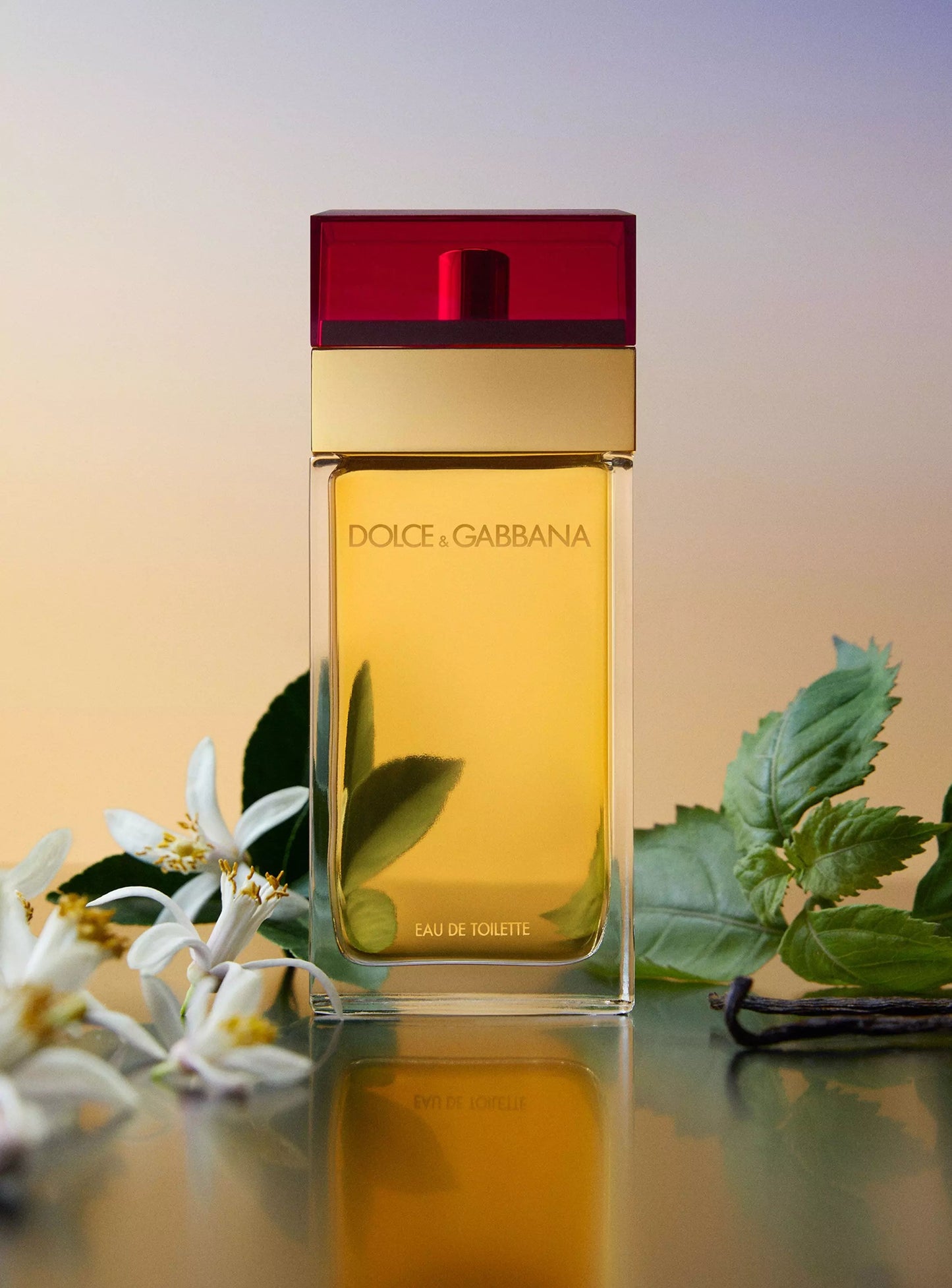 D&G Pour Femme L EDT 100 ml Dolce & Gabbana