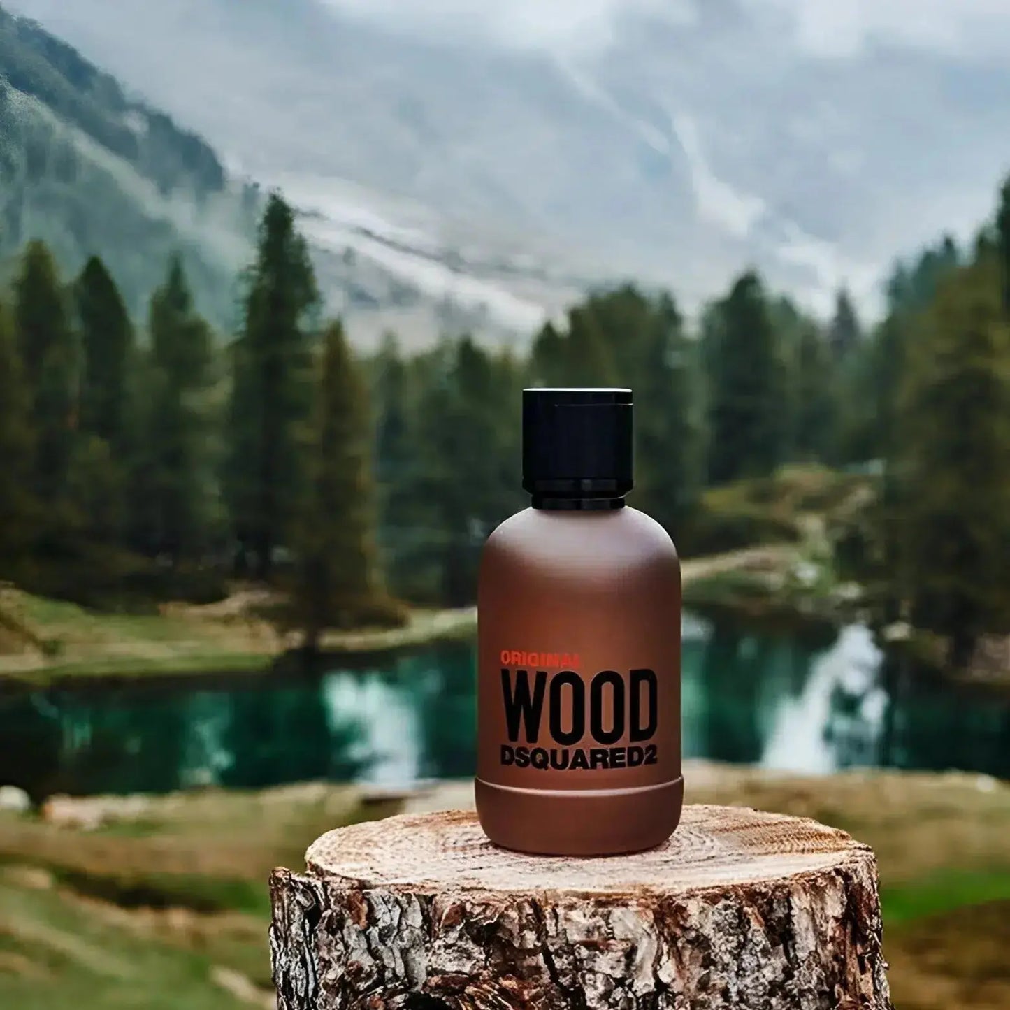 DSQUARED2 Wood Original H EDP 100 ml DSquared2