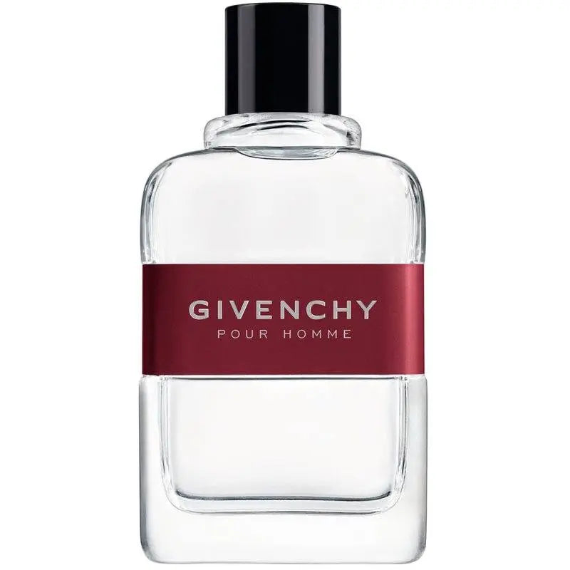 GIVENCHY Pour Homme H EDT 100 ml Givenchy