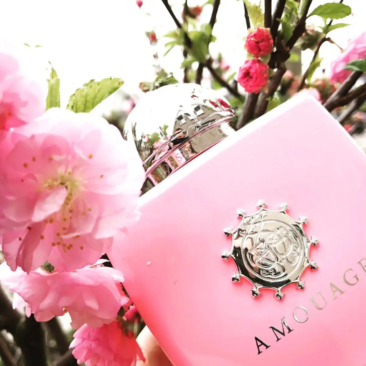 AMOUAGE Blossom Love L EDP 100 ml Amouage