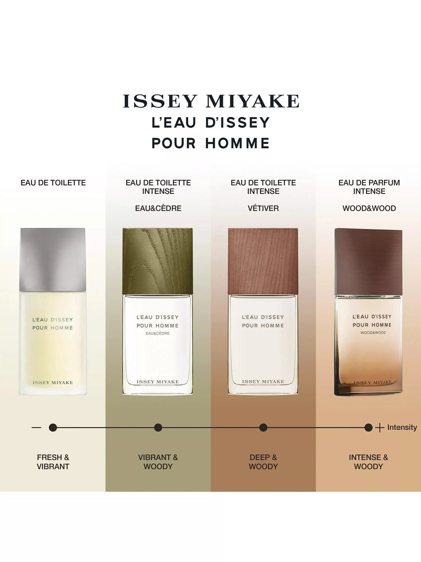 ISSEY MIYAKE L`eau D`Issey Vetiver H EDT 100 ml Issey Miyake