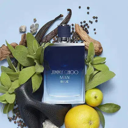 JIMMY CHOO Men Blue H EDT 100 ml Jimmy Choo