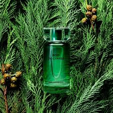 KARL LAGERFELD Bois de Cypres H EDT 100 ml Karl Lagerfeld