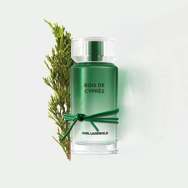 KARL LAGERFELD Bois de Cypres H EDT 100 ml Karl Lagerfeld