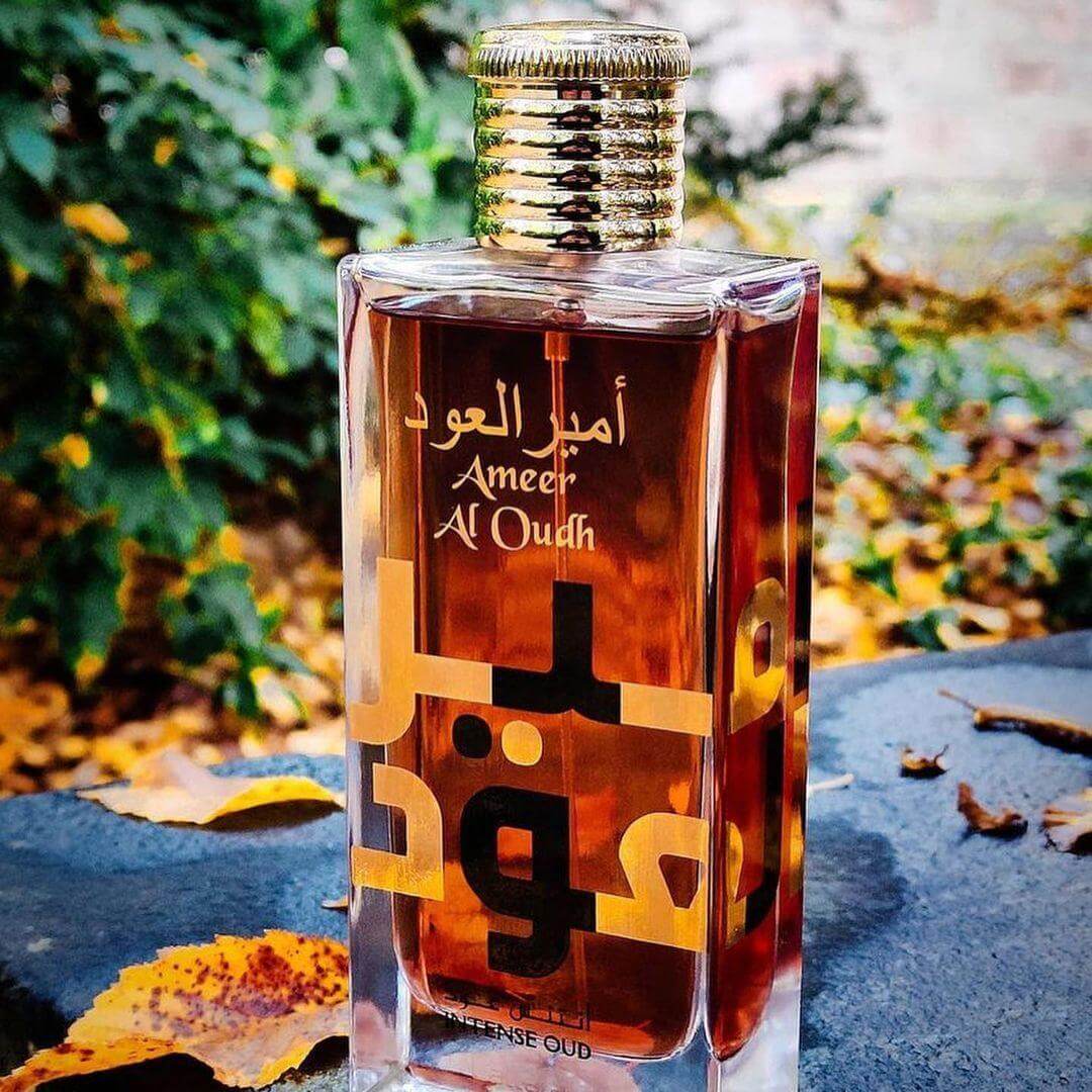 Lattafa Ameer Al Oudh Intense Oud U EDP 100 ml (Replica By the Fireplace) Lattafa