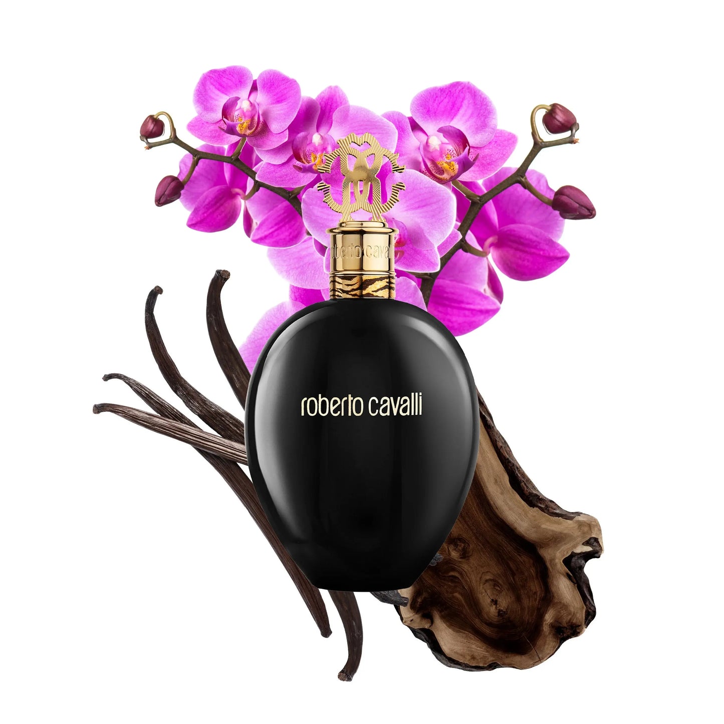 ROBERTO CAVALLI Nero Assoluto L EDP 100 ml - Versai.bg