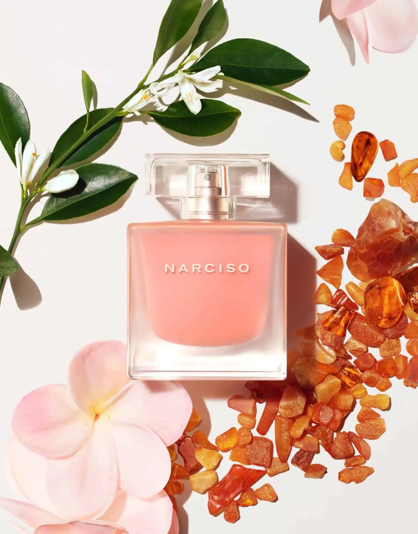NARCISO RODRIGUEZ Narciso Eau Neroli Ambree L EDT 90 ml - Versai.bg
