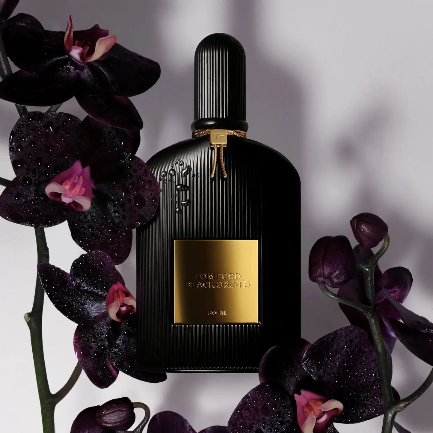 TOM FORD Black Orchid L EDP 150 ml - Versai.bg