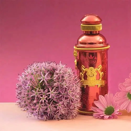 ALEXANDRE. J Altesse Mysore L EDP 100 ml Alexander J