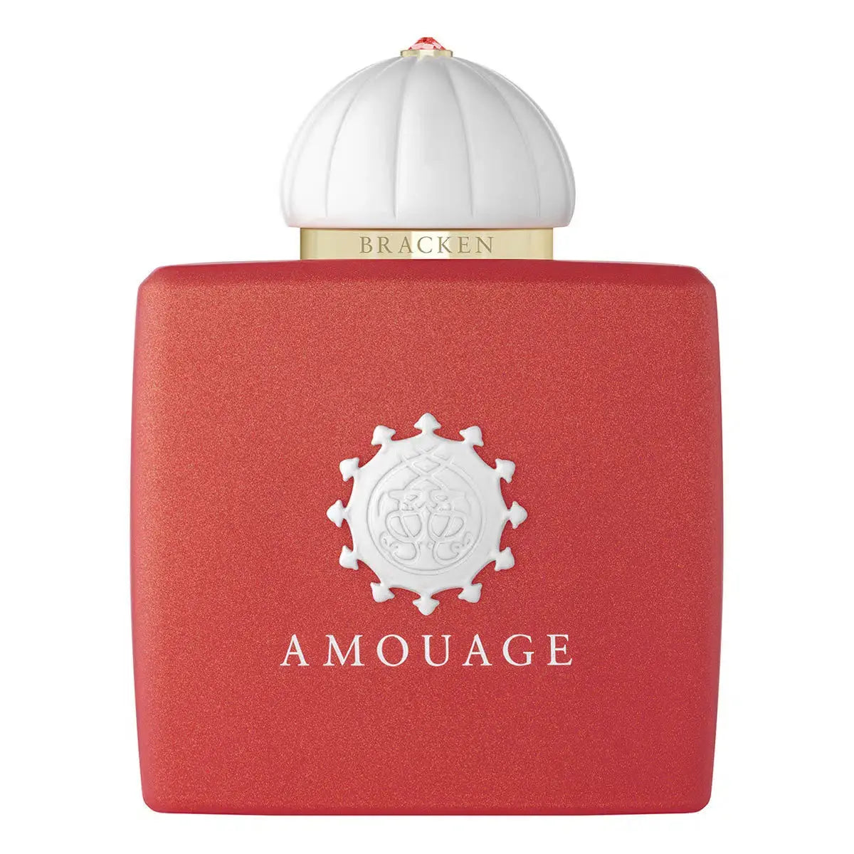 AMOUAGE Bracken L EDP 100ml - Versai.bg