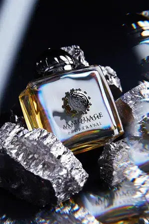 AMOUAGE Portrayal L EDP 100 ml Amouage