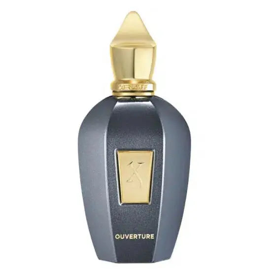 XERJOFF Vibe Collection Ouverture U EDP 100 ml - Versai.bg