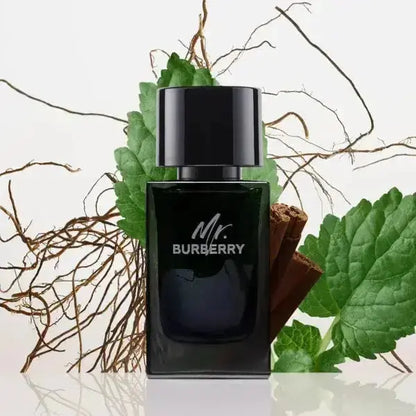 BURBERRY Mr. Burberry H EDT 100 ml Burberry