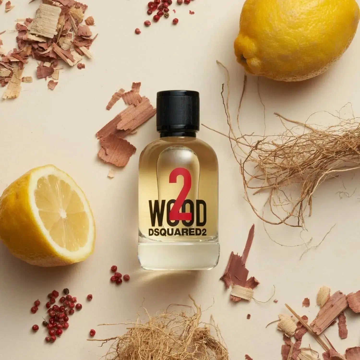 DSQUARED2 2 Wood U EDT 100 ml DSquared2
