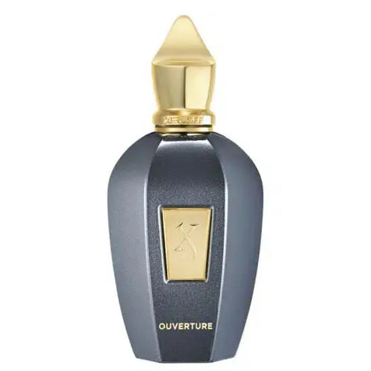 XERJOFF Vibe Collection Ouverture U EDP 100 ml - Versai.bg
